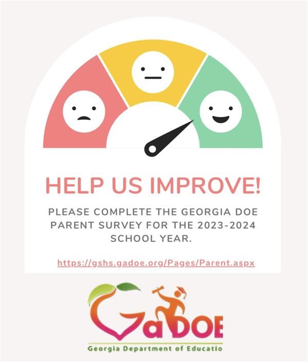 GA DOE Survey