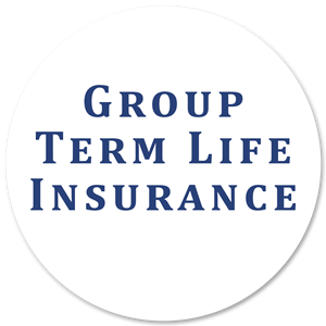 Life Insurance 
